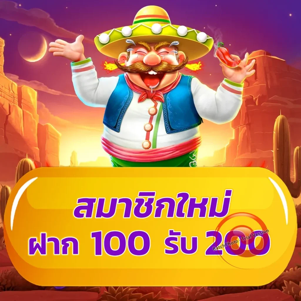 เว็บใหม่ 550 WW